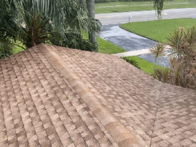 Asphalt Roofing Shingles