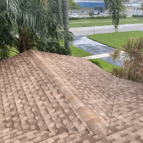 Asphalt Roofing Shingles